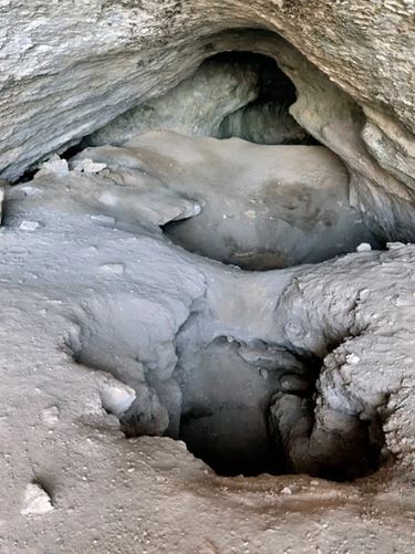 (عکس) کشف قدیمی‌ترین بقایای انسانی در ایران/ دندان ۱۷۵ هزار ساله