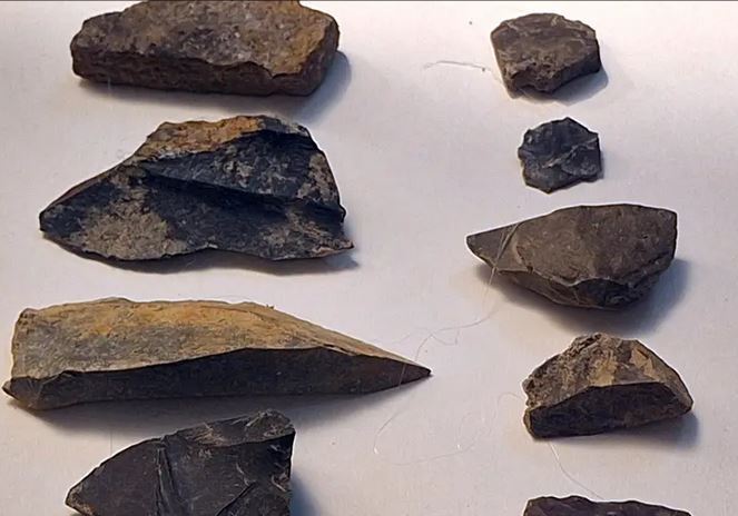 (عکس) کشف قدیمی‌ترین بقایای انسانی در ایران/ دندان ۱۷۵ هزار ساله