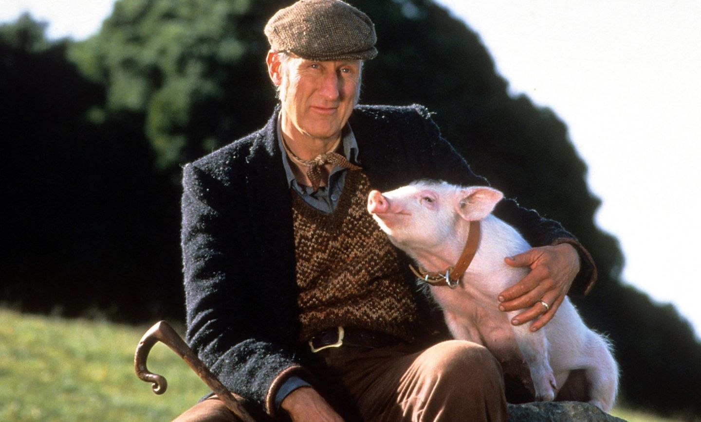 بازیگرانی که بعد از بازی کردن این نقش‌ها دیوانه شدند