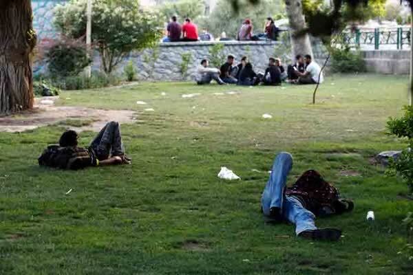 مسؤولیت ترنس‌ها با کیست؟