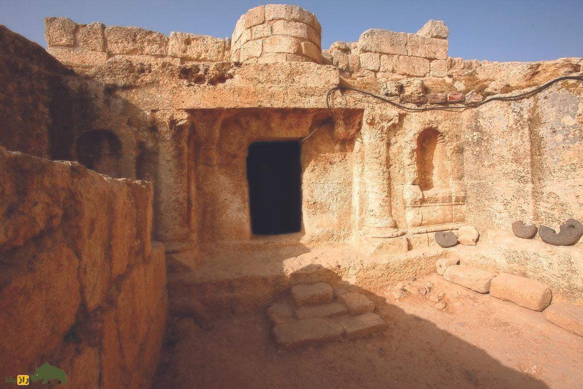 افشای راز تاریخ؛ نژاد «سگ اصحاب کهف» چه بود؟