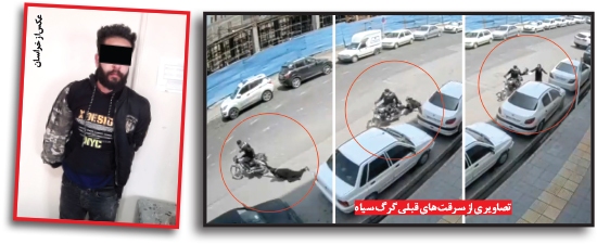 «گرگ سیاه» دوباره شکار شد!