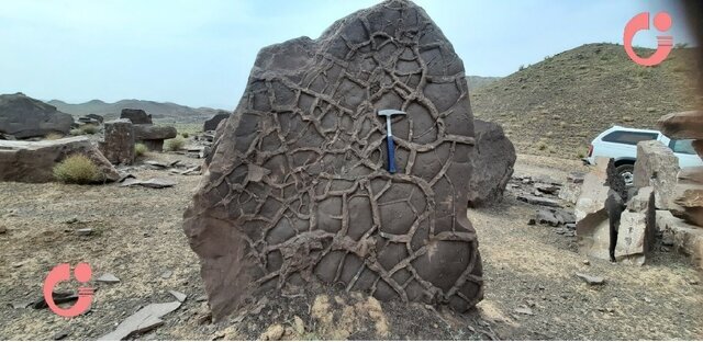 کشف ردپای پرندگان در رسوبات ۳۳ میلیون ساله قم