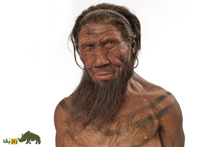 اگر نئاندرتال‌ها منقرض نمی‌شدند، جهانِ امروز چه شکلی بود؟