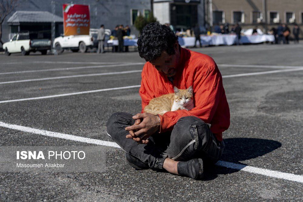 (عکس) تصویری دور از انتظار از یک سارق؛ پناه آوردن گربه به آغوش مجرم!