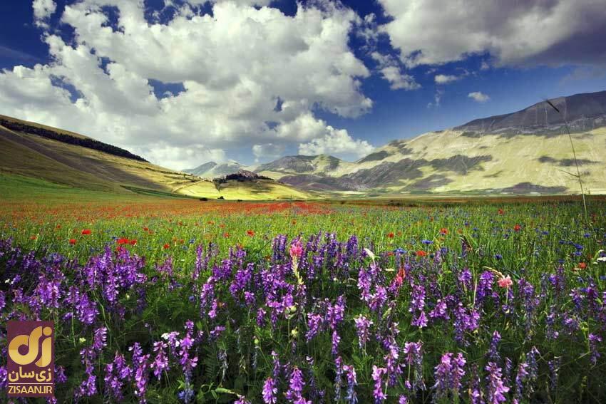 زیباترین اشعار درباره بهار و نوروز از شاعران بزرگ ایرانی