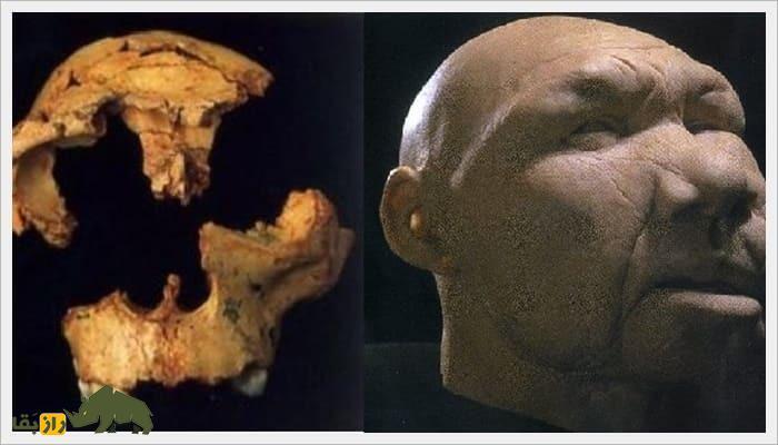 (تصاویر) این چهره نخستین اروپایی شناخته شده تاریخ است!