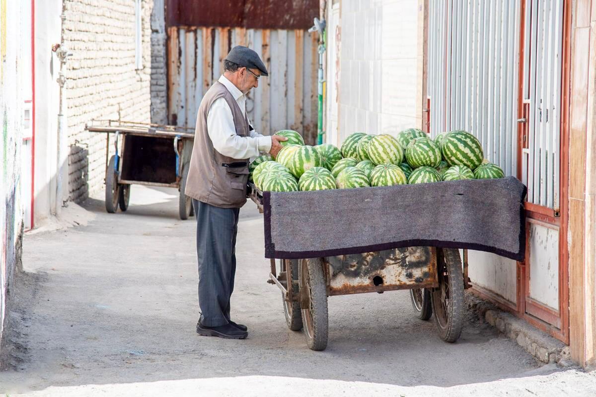 گاری هم قیمتی شد؛ ۵ تا ۱۰ میلیون ناقابل!