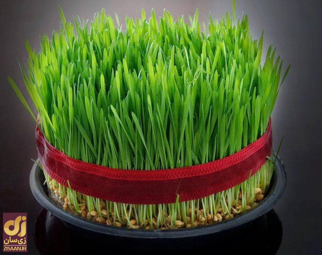 هر یک از سین‌های هفت‌سین نماد چیست؟