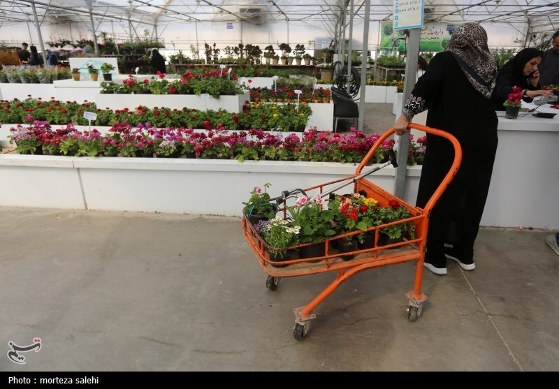 (تصاویر) بازار گل و گیاه اصفهان در آستانه نوروز