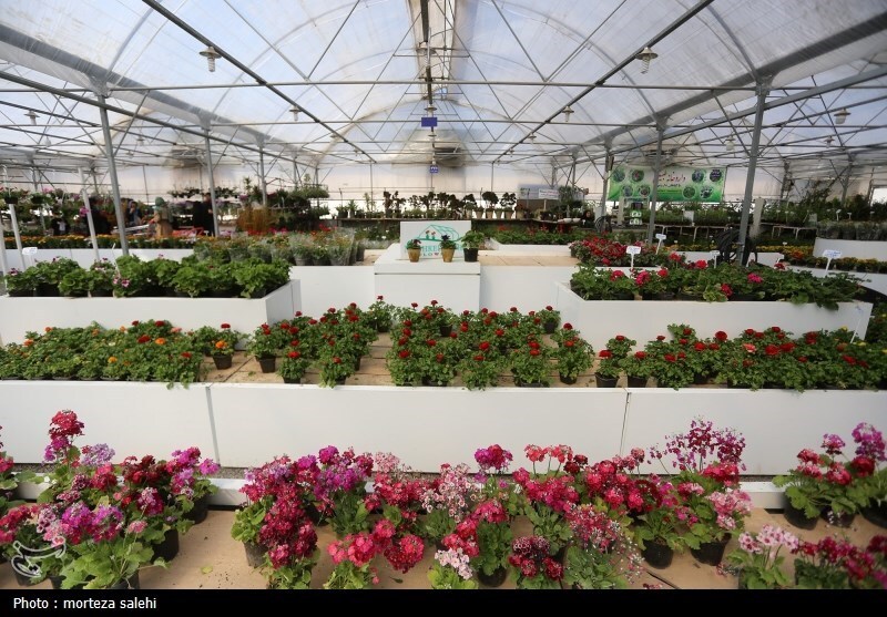 (تصاویر) بازار گل و گیاه اصفهان در آستانه نوروز