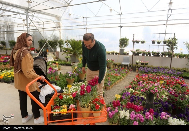 (تصاویر) بازار گل و گیاه اصفهان در آستانه نوروز