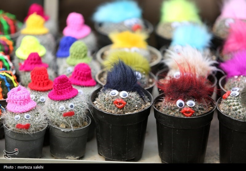 (تصاویر) بازار گل و گیاه اصفهان در آستانه نوروز