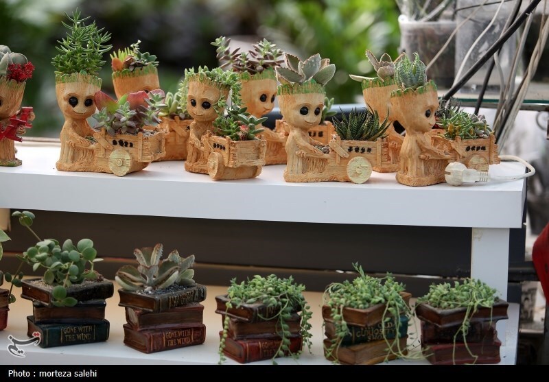 (تصاویر) بازار گل و گیاه اصفهان در آستانه نوروز