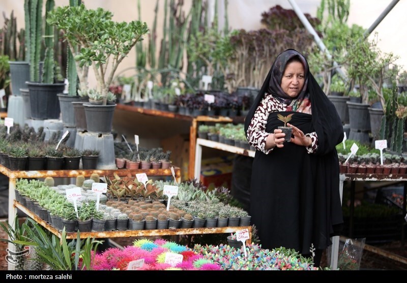 (تصاویر) بازار گل و گیاه اصفهان در آستانه نوروز