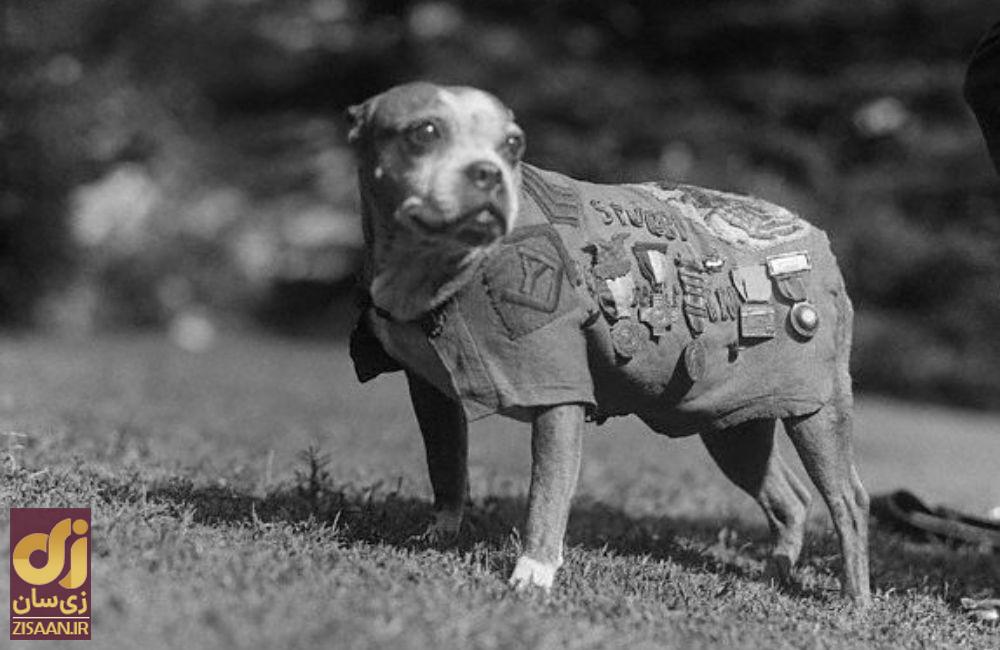 این عکس‌های کمیاب تاریخ را برای شما فاش می‌کنند!