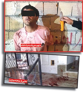 «پادشاه» جنون ندارد!