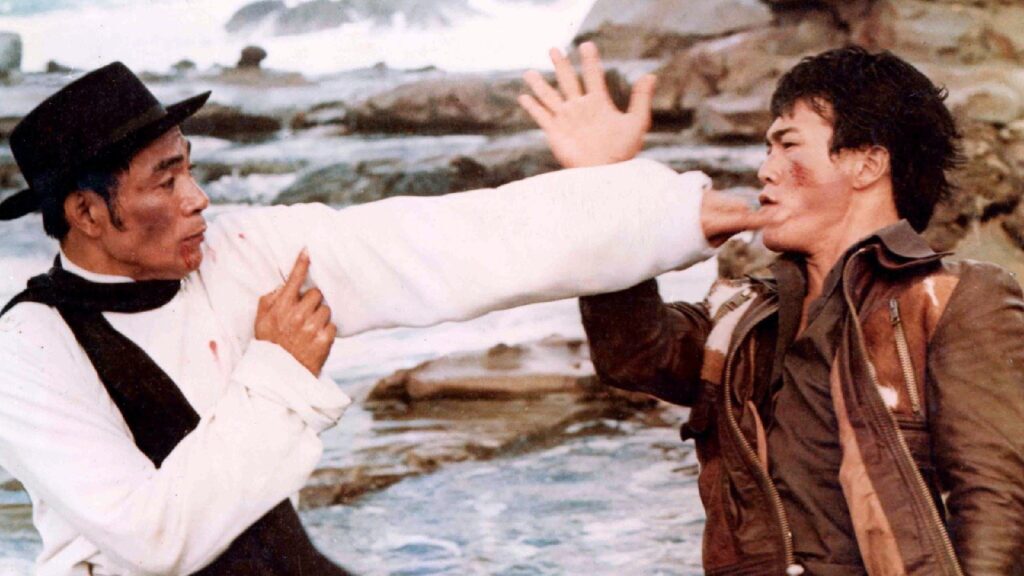 ۱۰ فیلم رزمی جذاب و دیدنی که بعد از مرگ بروس لی و با استفاده از نام او ساخته شدند