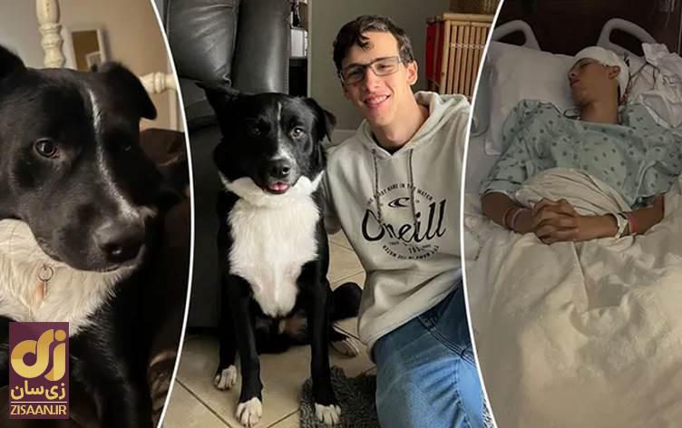 سگی که پزشک شد! 