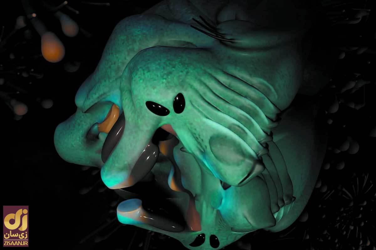 آدم فضایی‌ها چه شکلی‌اند؟! کوچولو‌های بامزه یا موجودات ترسناکی با چشم سبز؟