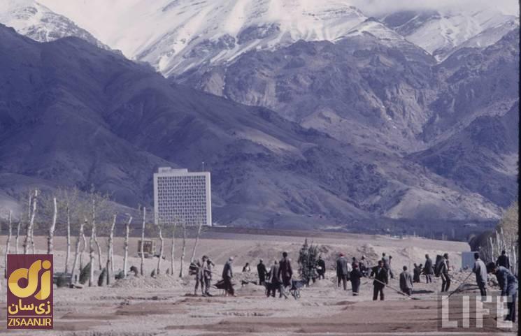 جذاب‌ترین عکس از خیابان ولیعصر (پهلوی) تهران!