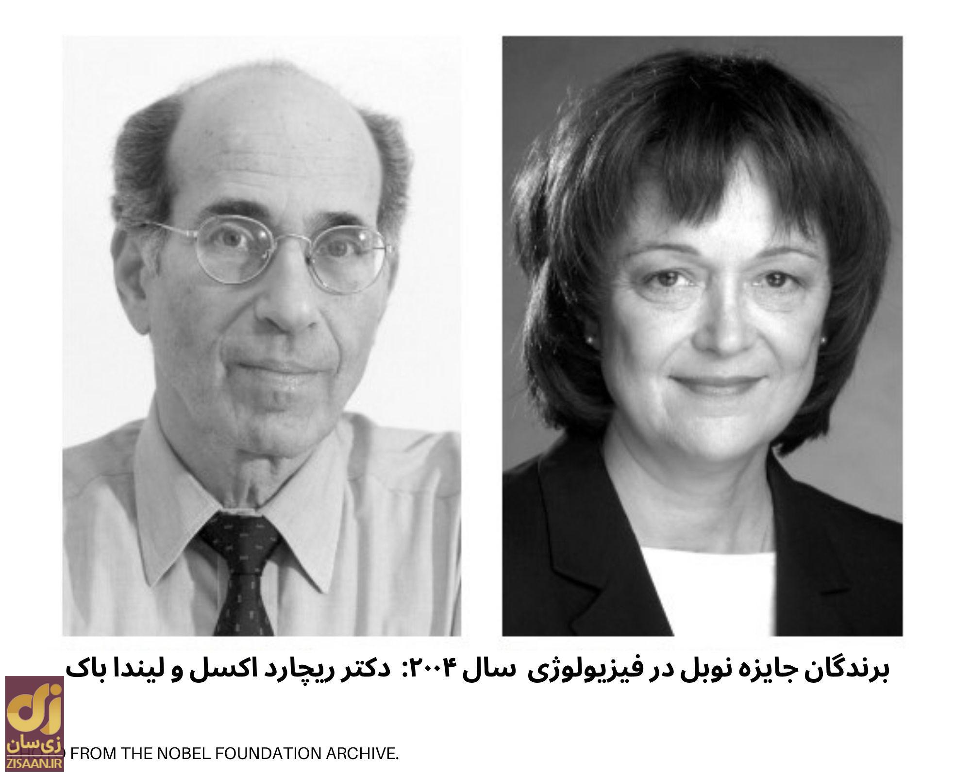 بو کردن چطور  خاطره‌های ما را زنده می‌شود؟