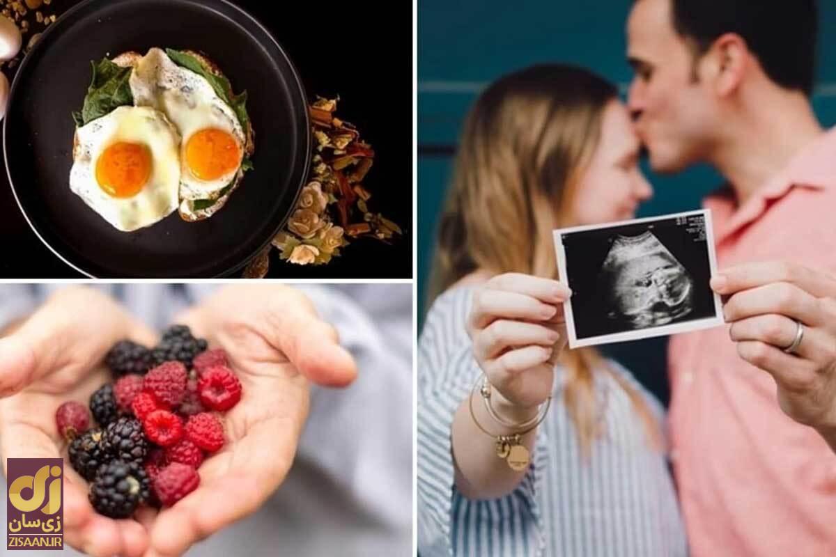 بهبود اسپرم با این ۸ ماده غذایی ممکن است | معجزه رژیم غذایی روی تقویت اسپرم بهبود اسپرم با این ۸ ماده غذایی ممکن است | معجزه رژیم غذایی روی تقویت اسپرم
