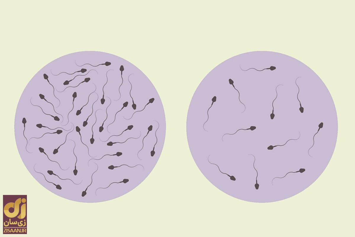 بهبود اسپرم با این ۸ ماده غذایی ممکن است | معجزه رژیم غذایی روی تقویت اسپرم بهبود اسپرم با این ۸ ماده غذایی ممکن است | معجزه رژیم غذایی روی تقویت اسپرم