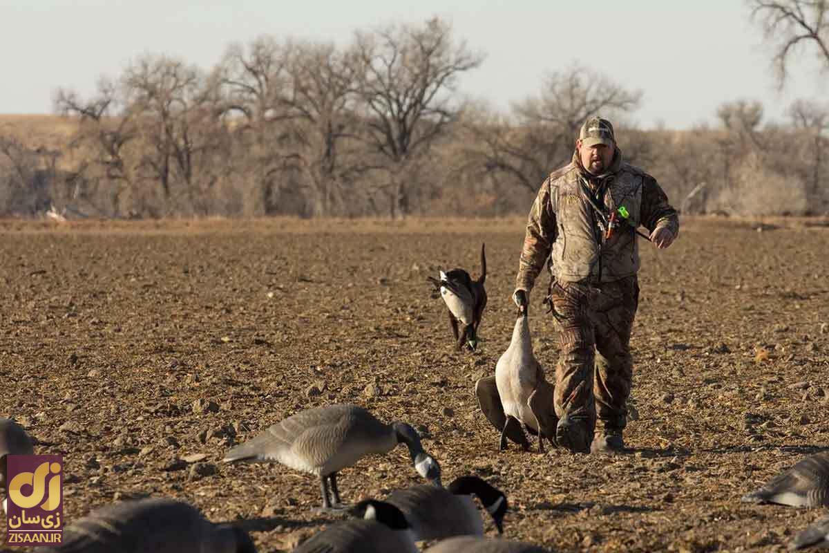 تئوری های عجیب درباره مکان‌‌های مشکوک! از آزمایشگاه کنترل ذهن در آلاسکا تا غار مخفی فراماسون‌ها