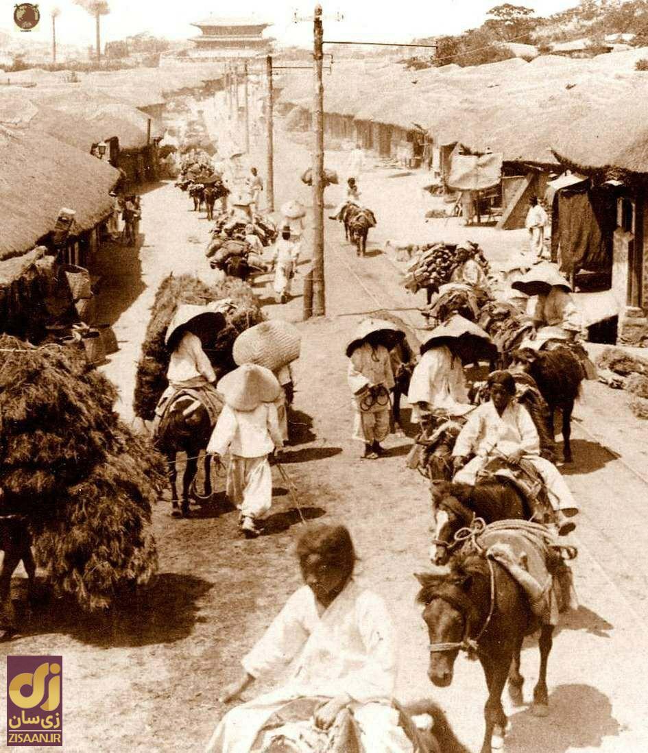 تصاویری عجیب از کره جنوبی