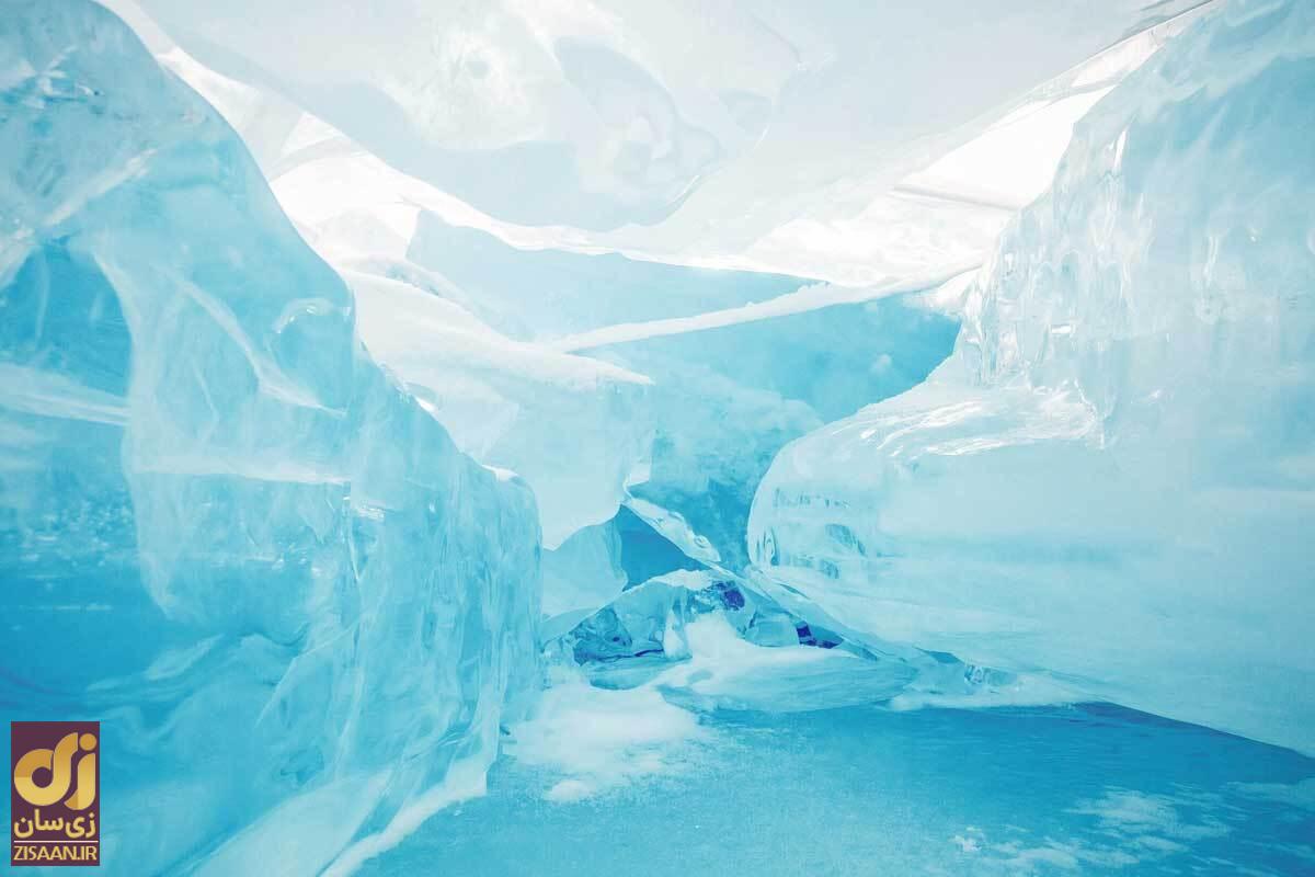 قطب جنوب کجاست؟ / عجایب قطب جنوب را می‌دانید؟