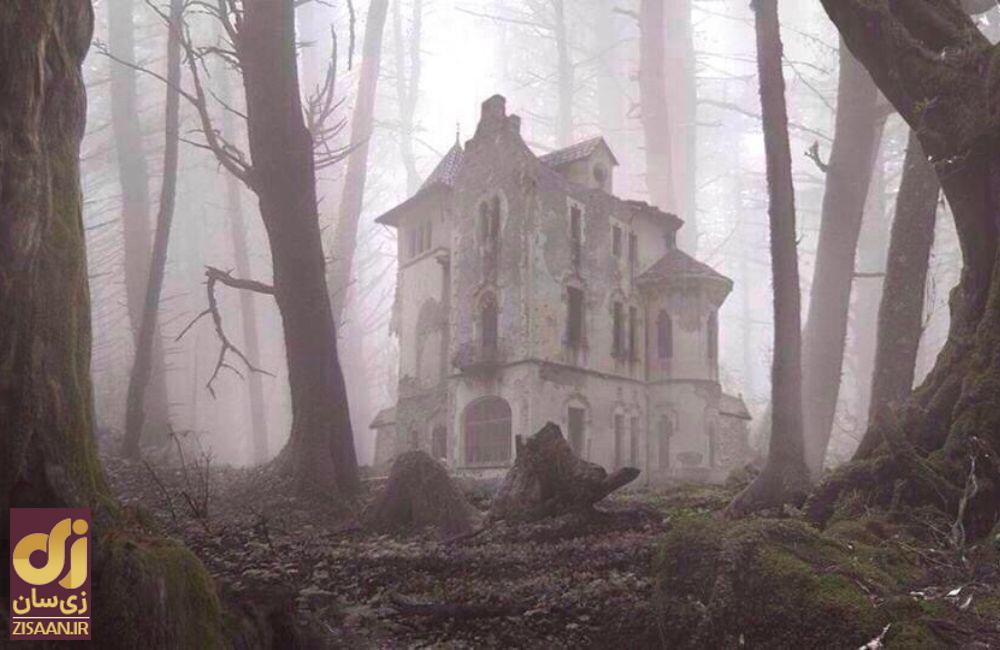 عجیب ترین چیزهایی که مردم در جنگل پیدا کردند