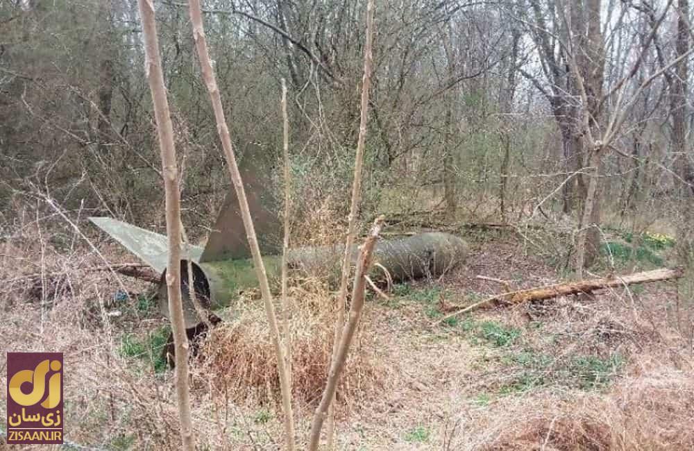 عجیب ترین چیزهایی که مردم در جنگل پیدا کردند