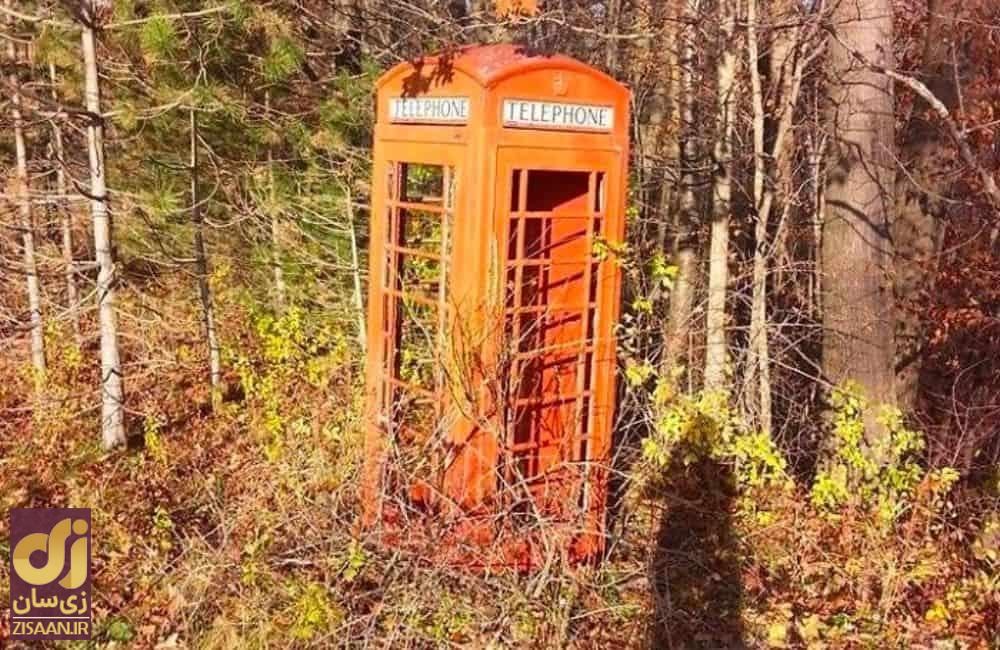 عجیب ترین چیزهایی که مردم در جنگل پیدا کردند