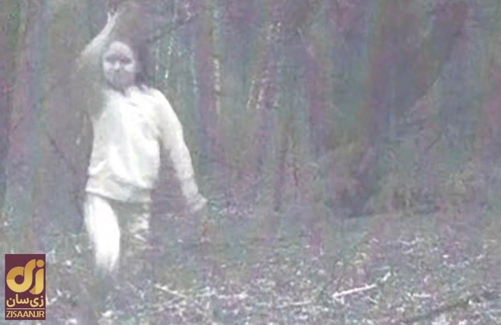 عجیب ترین چیزهایی که مردم در جنگل پیدا کردند