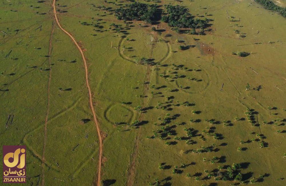 عجیب ترین چیزهایی که مردم در جنگل پیدا کردند