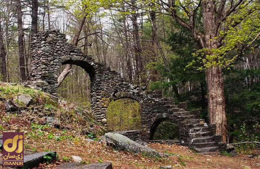 عجیب ترین چیزهایی که مردم در جنگل پیدا کردند