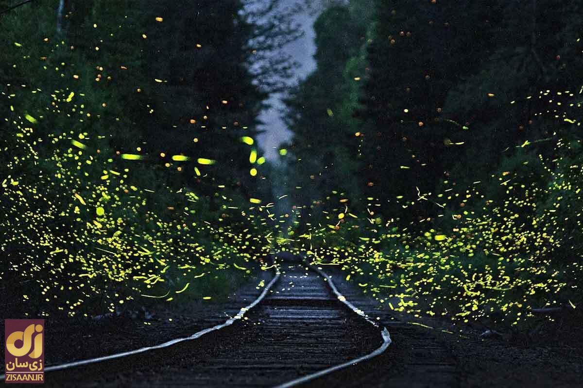 ۱۲ راز جهانی که حقیقت آنها پنهان است ۱۲ راز جهانی که حقیقت آنها پنهان است