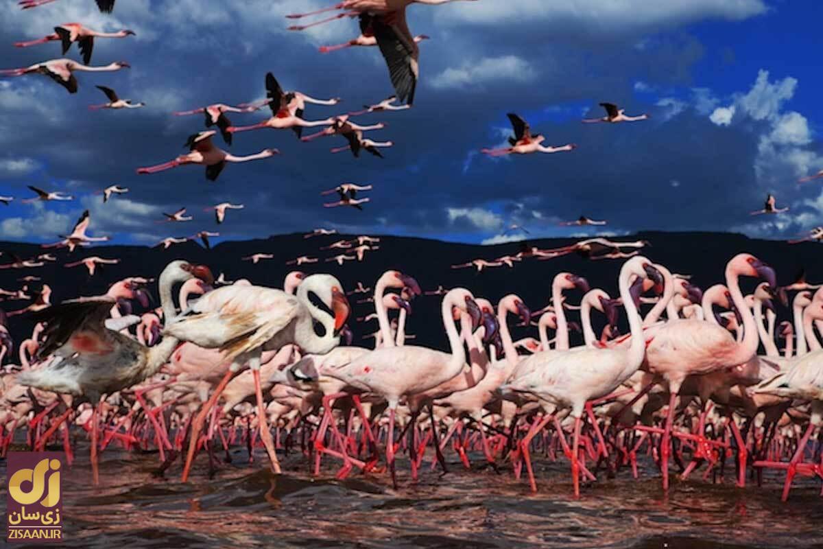 ۱۲ راز جهانی که حقیقت آنها پنهان است ۱۲ راز جهانی که حقیقت آنها پنهان است