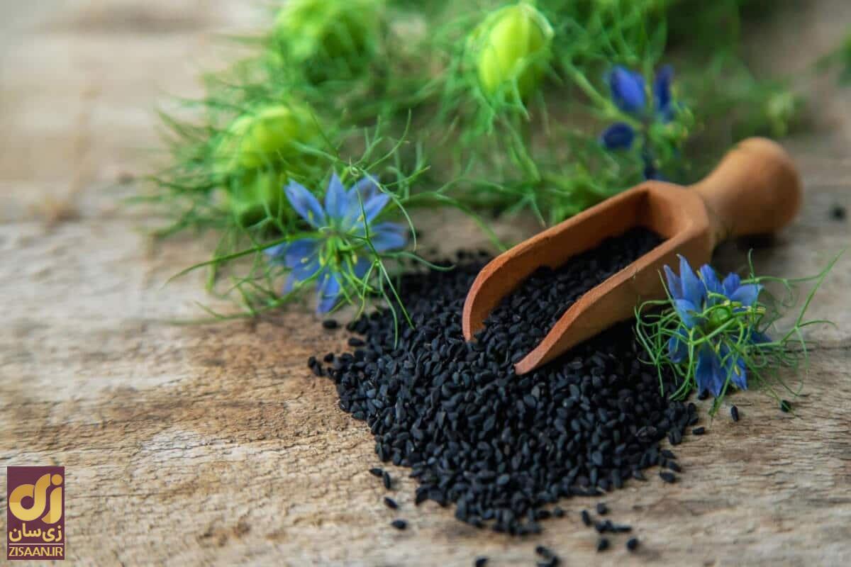 خواص سیاه دانه و روغن آن؛ از درمان ناباروری تا بهبود زخم