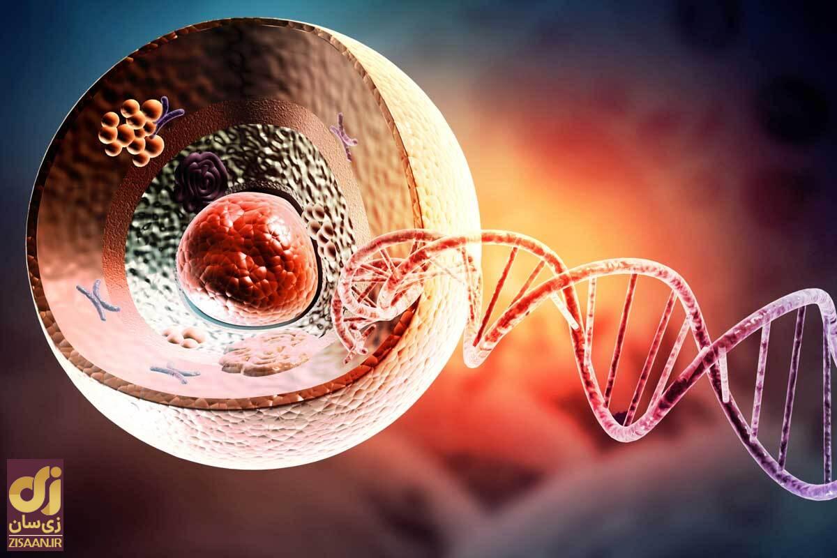 همه سناریوها درباره انقراض نسل بشر