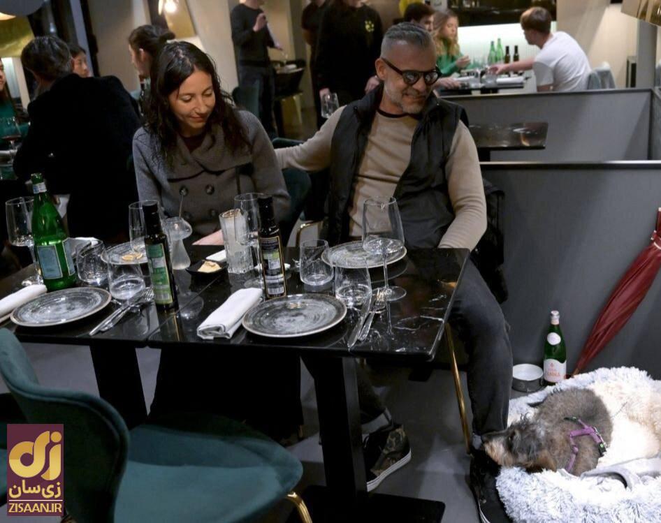 سگ‌ها هم صاحب رستوران اختصاصی شدند!