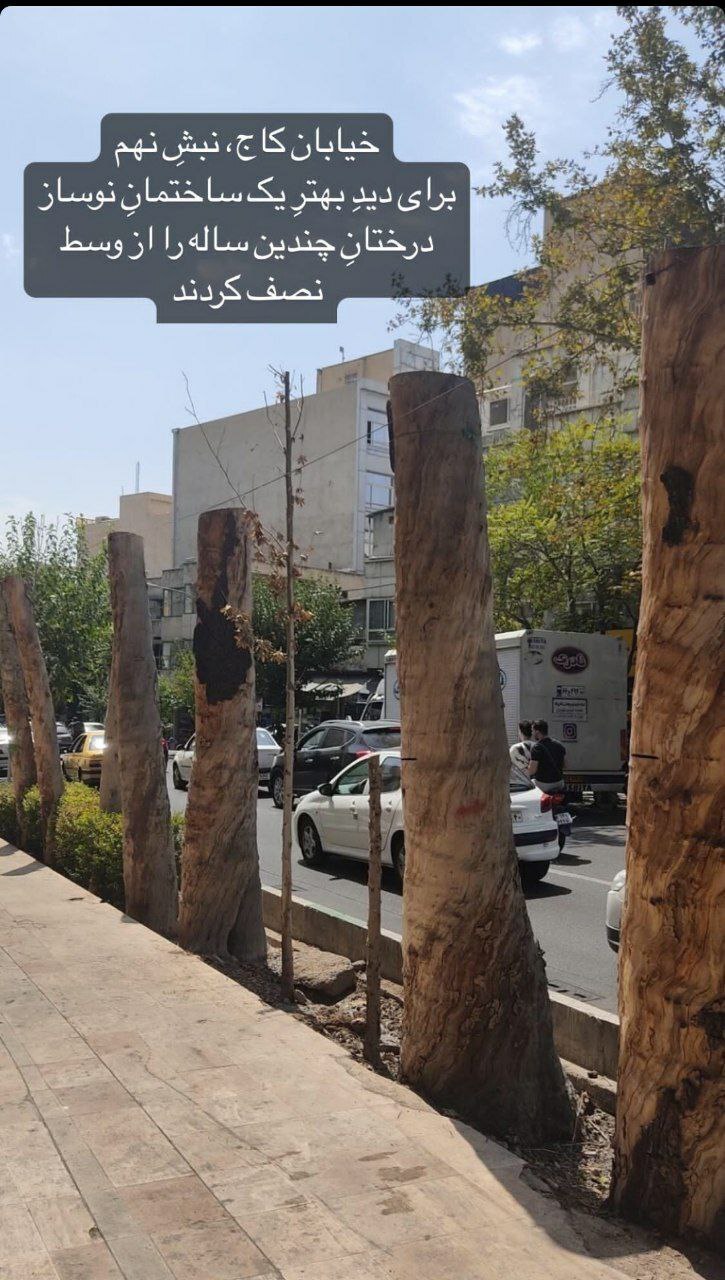قطع درختان چندین ساله برای یک ساختمان نوساز!