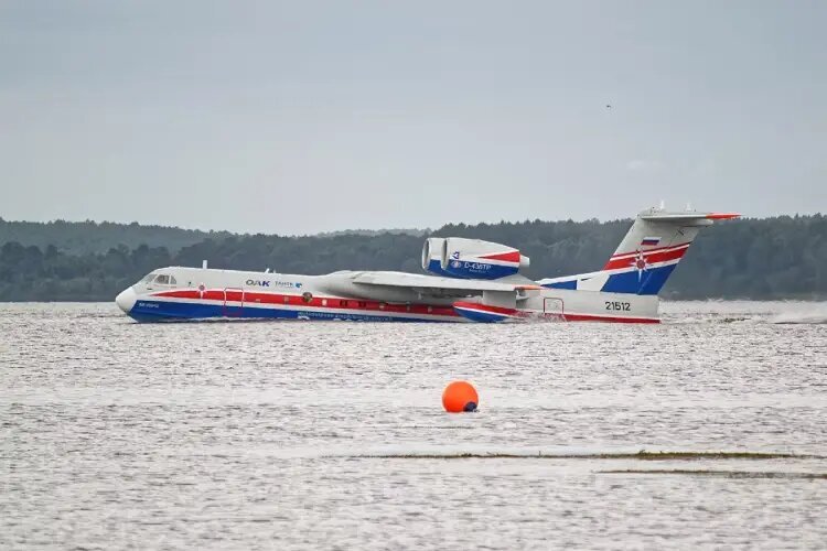 قربانی کمتر شناخته شده حمله روسیه به اوکراین