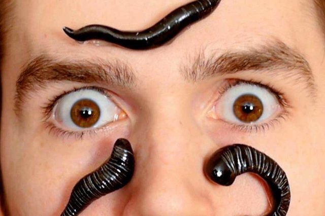 زالو و ۱۲۰ ماده مفیدی که وارد بدنتان میکند/کوچکترین و هوشمندترین جراح طبیعی جهان را بشناسید زالو و ۱۲۰ ماده مفیدی که وارد بدنتان میکند/کوچکترین و هوشمندترین جراح طبیعی جهان را بشناسید