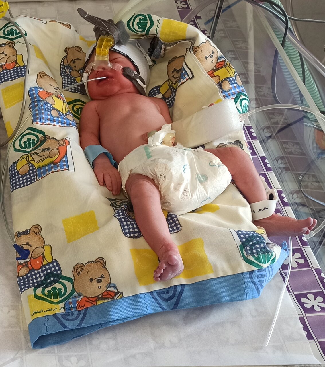 ثبت تولد اولین ۴ قلو‌های اصفهانی در سال ۱۴۰۳ + عکس و اسامی نوزادان