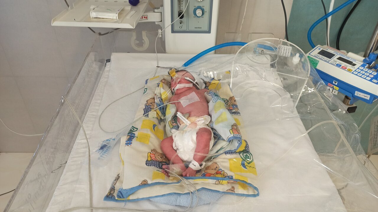 ثبت تولد اولین ۴ قلو‌های اصفهانی در سال ۱۴۰۳ + عکس و اسامی نوزادان