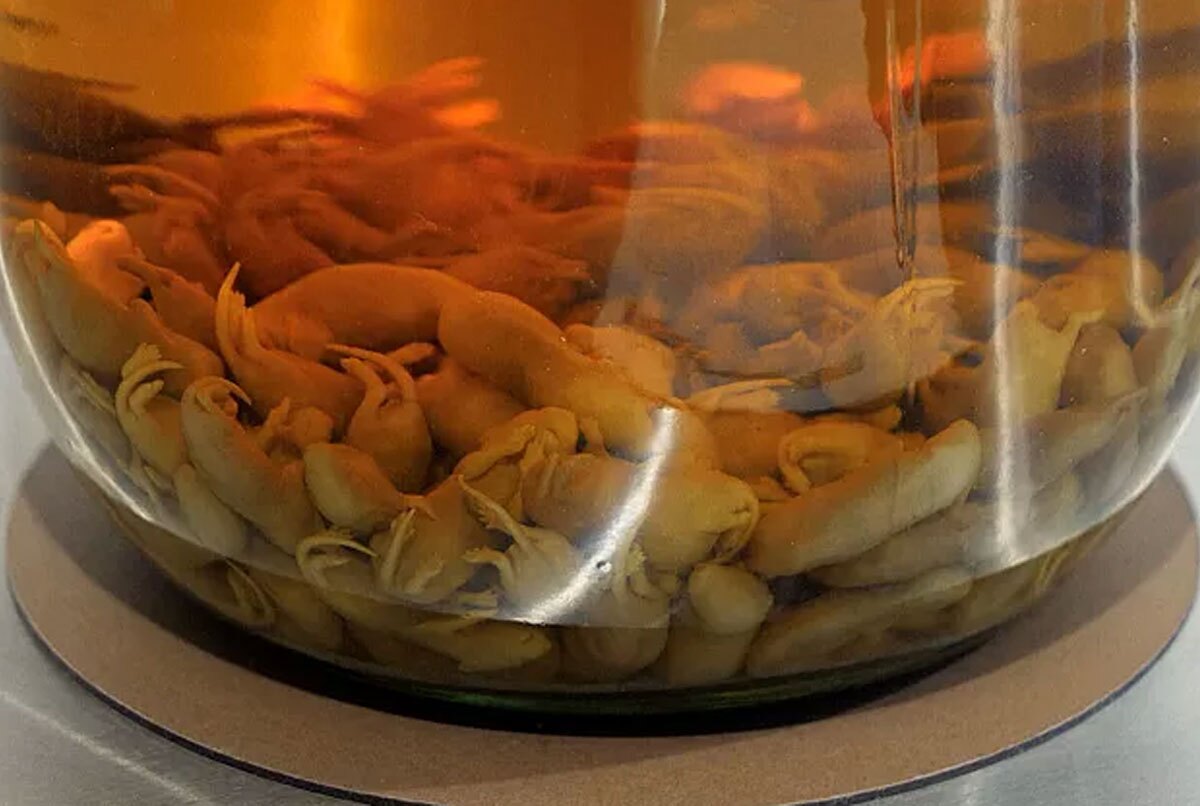 (تصاویر) خوراکیهای چندشآور؛ از مشروب بچه موش تا سوپ چشمگوسفندی (تصاویر) خوراکیهای چندشآور؛ از مشروب بچه موش تا سوپ چشمگوسفندی