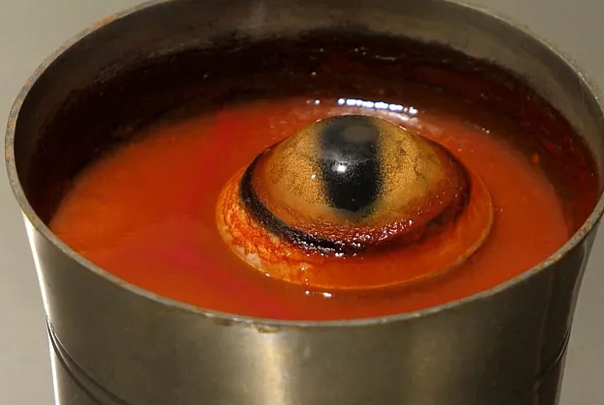 (تصاویر) خوراکیهای چندشآور؛ از مشروب بچه موش تا سوپ چشمگوسفندی (تصاویر) خوراکیهای چندشآور؛ از مشروب بچه موش تا سوپ چشمگوسفندی