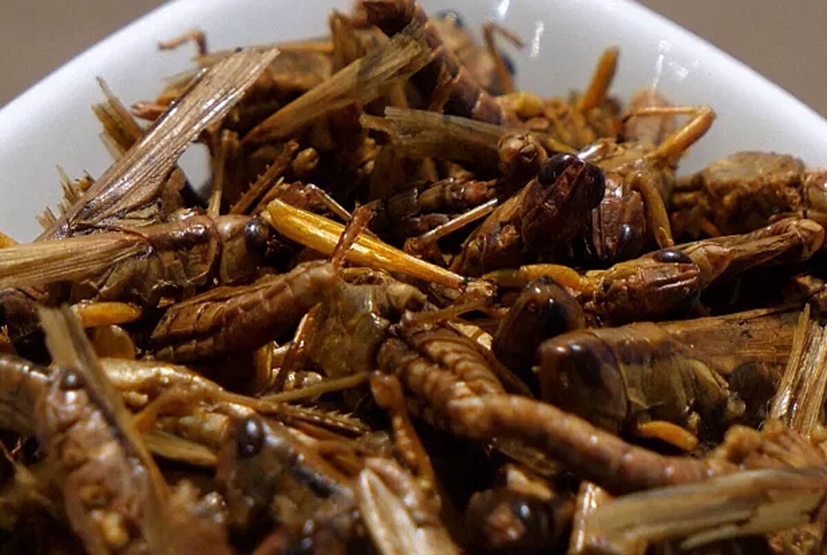 (تصاویر) خوراکیهای چندشآور؛ از مشروب بچه موش تا سوپ چشمگوسفندی (تصاویر) خوراکیهای چندشآور؛ از مشروب بچه موش تا سوپ چشمگوسفندی